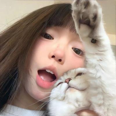 乱马1/2第二季